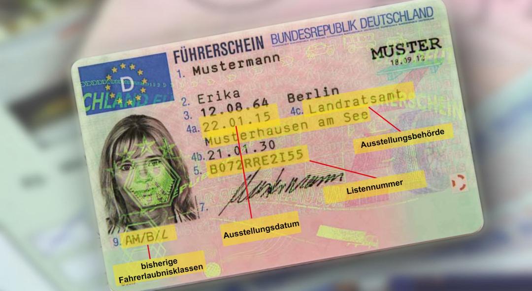 German driver's license